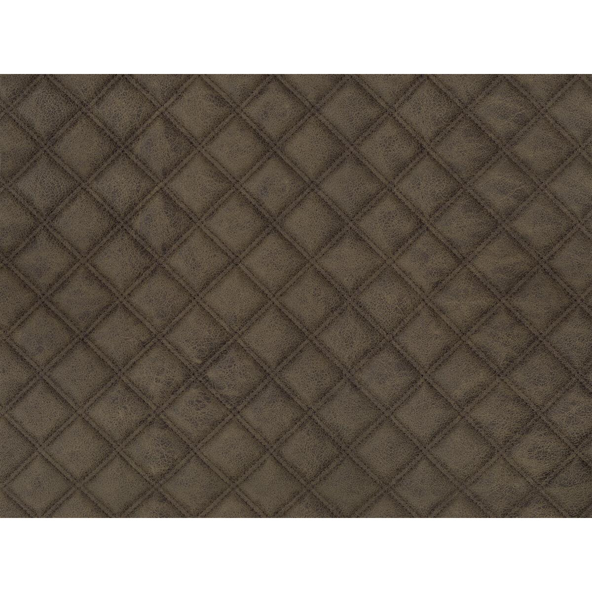 Texas Step Polsterstoff brasil 34