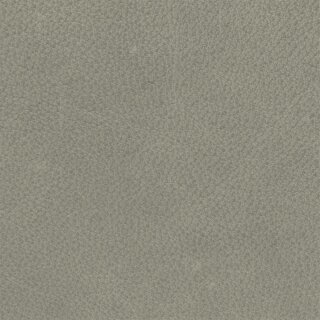 Arizona 1563 - steingrau