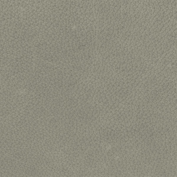 Arizona Büffel Echtleder  1563 - steingrau