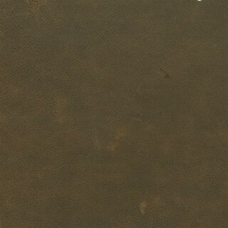 Arizona 2545 - brew