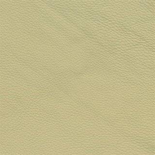 Autoleder BMW Dakota 3466D - creambeige