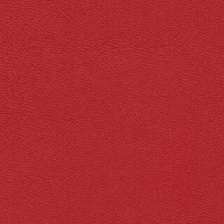 Autoleder BMW Nappa 1804 - flashred