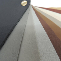 Autoleder Audi Valcona 3690 - seidenbeige