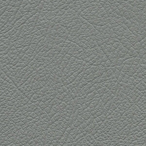 Autoleder Oldtimer DB Classic 0300 - grau