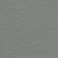 Autoleder Oldtimer DB Classic 0300 - grau