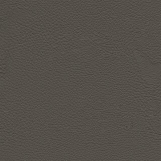 Roma 1516 - gris