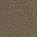 Roma 1562 - cotta