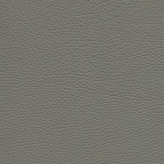 Roma 1638 - platin