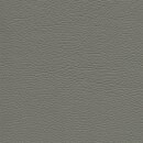 Roma 1638 - platin