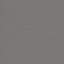 Roma 1863 - grigio luce
