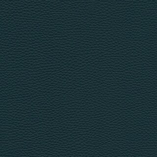 Roma 5856 - petrol