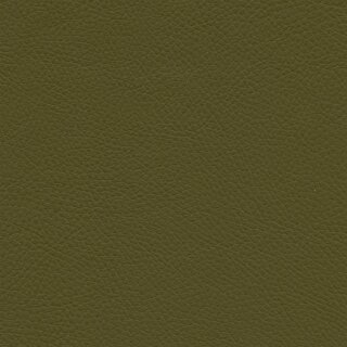 Roma 7639 - avocadi