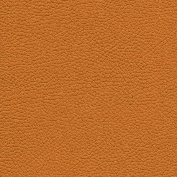 Roma 8350 - mimosa
