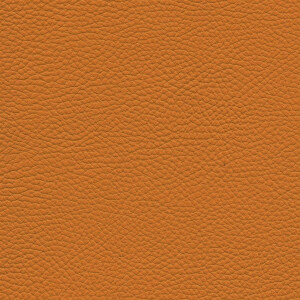 Roma 8350 - mimosa
