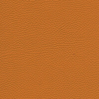 Roma 8350 - mimosa