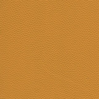 Roma 8530 - sun