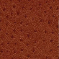 Rindleder Strauß 2532 - tan