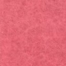 Canyon 4498 - coral red