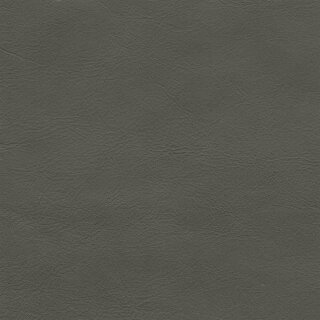 Afrika echtes Büffelleder 1250 - grey