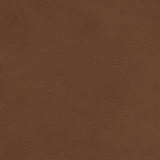 Afrika echtes Büffelleder 2732 - whiskey