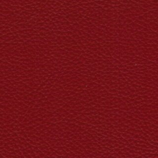 Pisa 4285 - classicrot