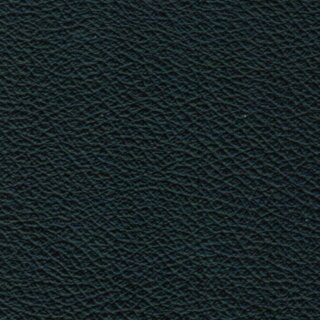 Pisa 5217 - stahlblau