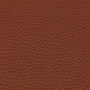 Pisa 2584 - inca