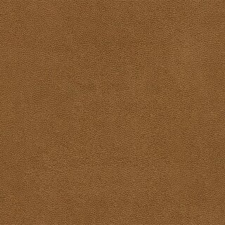 Evita - High Performance Polsterstoff 110