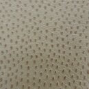 Autoleder BMW Z3 Leder Oregon beige