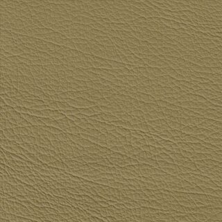 Auto - Kunstleder Classic 1103 - champignon
