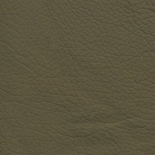 Autoleder Mercedes Lugano 3210 - mandelbeige