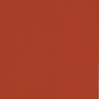 Firenze 4774 - lachs