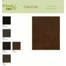 OLeaf Tan Galicia 0500 - schwarz