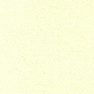 Alcantara Pannel 1041 zartgrün
