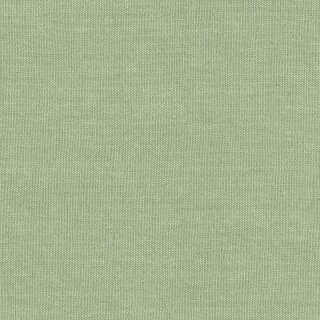 Desert - Leinenstoff stone washed 08 - pastellgrün