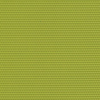 Skai cool colors Venezia 5021 - lime