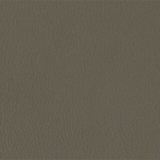 Kunstleder bielastisch Auto Boot Objekt 206 x 224 - elefant