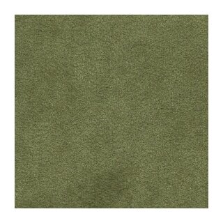 Alcantara® Avant 5700 Fern Green