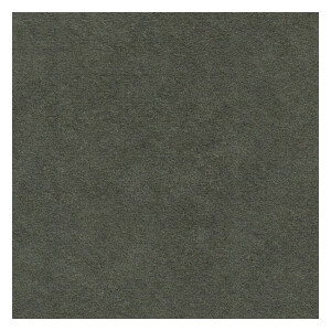 Alcantara® Avant 5810 Stone Grey