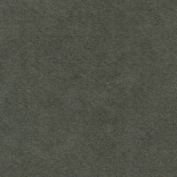 Alcantara® Avant 5810 Stone Grey