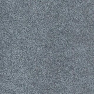 Alcantara® Cover 2932 mausgrau