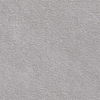 Alcantara® Cover 4978 silbergrau hell