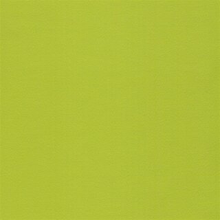 Kids - Kunstleder phthalatfrei 9818 kiwi