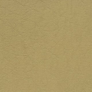 Klassikfarben Serie Z59 1170 - champagner