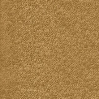Klassikfarben Serie Z59 1300 - karamel