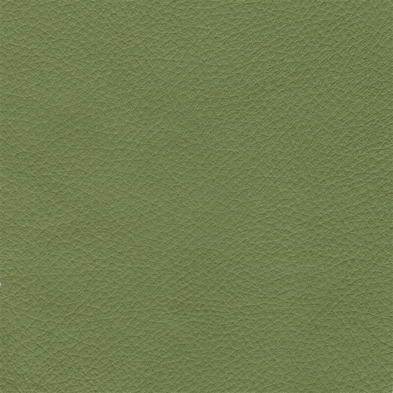 Klassikfarben Serie Z59 2350 - linde