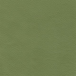 Klassikfarben Serie Z59 2350 - linde