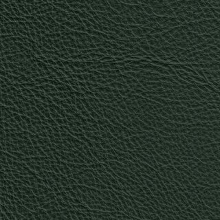 Klassikfarben Serie Z59 2450 - dunkelgrün