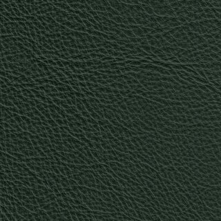 Klassikfarben Serie Z59 2450 - dunkelgrün