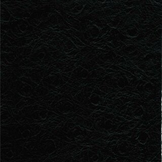 0500 - schwarz